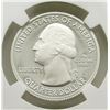 Image 3 : 2014 S SILVER QUARTER EVERGLADES