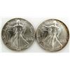 Image 1 : 2 - 1991 AMERICAN SILVER EAGLES