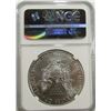 Image 4 : 2016 AMERICAN SILVER EAGLE NGC MS70 EARLY RELEASE