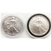 Image 1 : 1995 & 2017 AMERICAN SILVER EAGLES