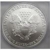 Image 4 : 2006 AMERICAN SILVER EAGLE ICG MS69