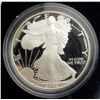 Image 1 : 2000 & 2002 PROOF AMERICAN SILVER EAGLE