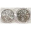 Image 1 : 1993 & 2003 AMERICAN SILVER EAGLES