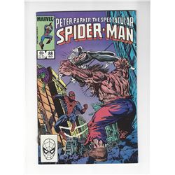 Peter Parker, The Spectacular Spider-Man Issue #88 by Marvel Comics