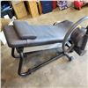 Image 2 : TECHNO GYM FLEXIBILITY POSTERIOR MACHINE