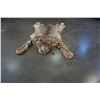 Image 1 : LYNX PELT