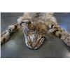 Image 2 : LYNX PELT