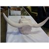 Image 2 : CERAMIC COW SKULL