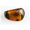 Image 2 : Chinese Amber Carved Boulder