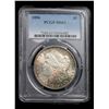 Image 2 : PCGS 1896-p Rainbow Toned Morgan Dollar $1 Graded Select Unc PL By PCGS