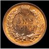Image 3 : 1901 Indian Cent 1c Grades Choice+ Unc RB