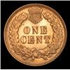 Image 3 : ***Auction Highlight*** 1901 Indian Cent 1c Graded GEM Unc RD By USCG (fc)