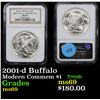 Image 1 : NGC 2001-d Buffalo Modern Commem Dollar $1 Graded ms69 By NGC