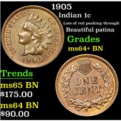 1905 Indian Cent 1c Grades Choice+ Unc BN