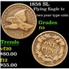 Image 1 : 1858 SL Flying Eagle Cent 1c Grades f+