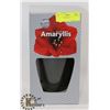 Image 1 : AMARYLLIS PLANT