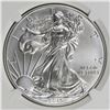 Image 1 : 2015 AMERICAN SILVER EAGLE