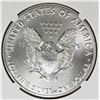 Image 2 : 2019 AMERICAN SILVER EAGLE