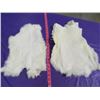 Image 1 : LOT OF 2 WHITE JUMBO RABBIT PELTS