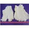 Image 2 : LOT OF 2 WHITE JUMBO RABBIT PELTS