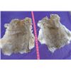 Image 1 : LOT OF 2 BROWN JUMBO RABBIT PELTS