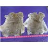 Image 2 : LOT OF 2 BROWN JUMBO RABBIT PELTS