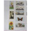 Image 2 : LOT OF 1930'S CIGARETTE CARDS