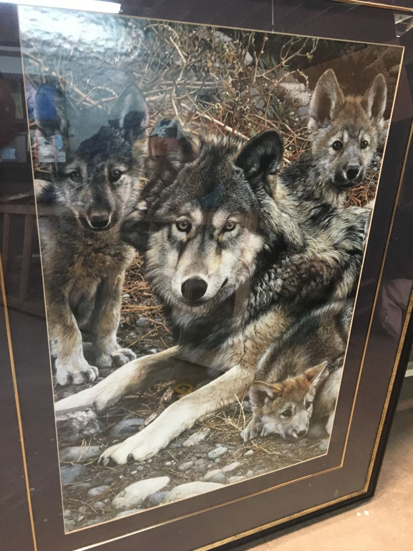 Cub Prints LARGE FRAMED WOLF AND CUBS PRINT - Schmalz Auctions