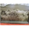 Image 2 : HORSE PRINT (WOOD FRAME) *21" X 27"*