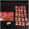 Image 1 : Home Grown Canadian Hockey Heros 2003/04 Complete Pin Collection with Book