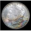 Image 2 : ***Auction Highlight*** 1884-o Rainbow Toned Morgan Dollar $1 Graded GEM+ Unc By USCG (fc)