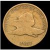 Image 2 : 1857 Flying Eagle Cent 1c Grades f+