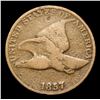 Image 2 : 1857 Flying Eagle Cent 1c Grades vf+