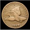 Image 2 : 1857 Flying Eagle Cent 1c Grades vf+