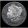 Image 2 : ***Auction Highlight*** 1880-s Morgan Dollar $1 Graded Choice Unc+ DMPL By USCG (fc)