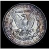 Image 3 : 1902-p Morgan Dollar $1 Grades Choice+ Unc