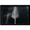 Image 2 : Flags of the American Pine Tree Flag .975oz. .925 Sterling Silver Bar Grades