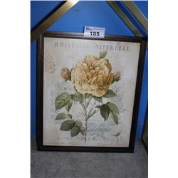 FRAMED ROSE PRINT