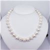 Image 2 : SILVER FRESHWATER PEARL NECKLACE