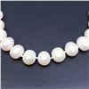 Image 3 : SILVER FRESHWATER PEARL NECKLACE