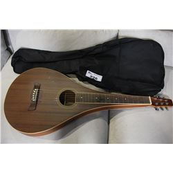 VS SLIDE ELECTRIC ACOUSTIC GUITAR WITH GIG BAG