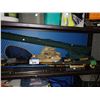 Image 2 : SHELF OF FISHING GEAR INCLUDING RODS, NET, VESTS AND MORE