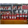 Image 1 : 17 FIRE EXTINGUISHERS