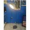 Image 2 : GREY METAL FLOOR LAMP