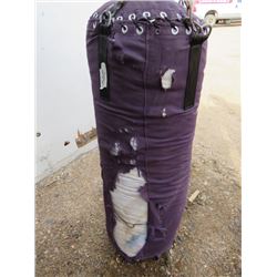 PUNCHING BAG (DAMAGED)