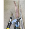 Image 8 : EXTENSION SAW (TREE LIMBER)