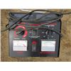 Image 2 : WESTWARD 1JYU2A BATTERY CHARGER