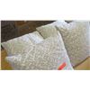 Image 2 : Qty 4 Matching Grey/Tan Throw Pillows