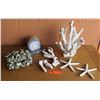 Image 1 : Coral Pieces, Geode, Star Fish, etc