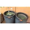 Image 2 : Qty 2 Large Clay Planter Pots 20" Dia, 36"H